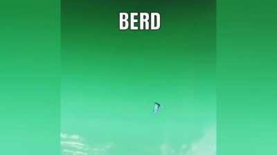 NESSUS BIRD