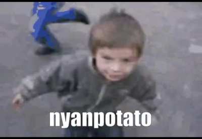 Nyanpotato