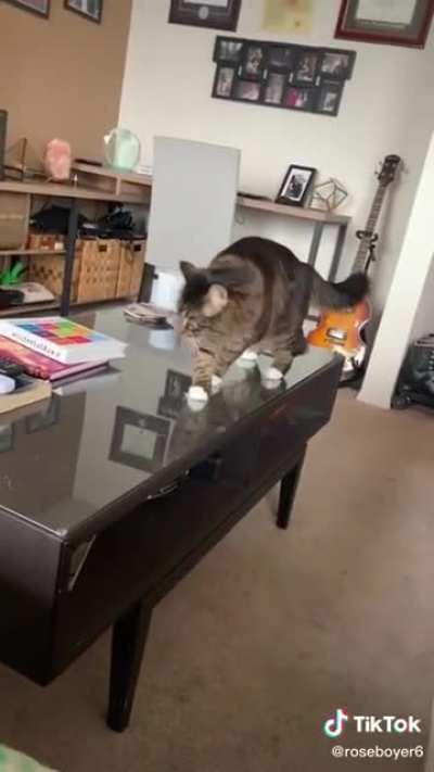 They stuck the landing