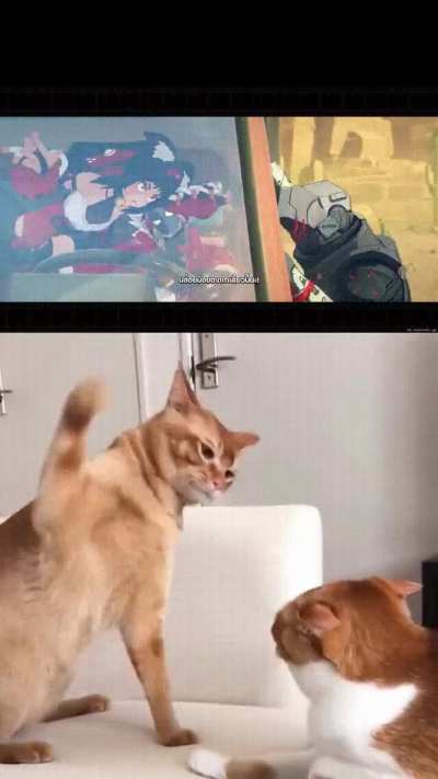 The highlight of this chapter ฅ^&bull;⩊&bull;^ฅ neko slaps
