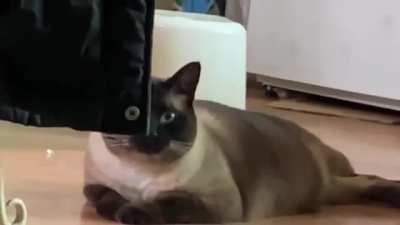ту-ду тун ту ту-ду, ту-ду тун ту ту-ду, ту-ду-тууууууу ту-ту-дуууууу...