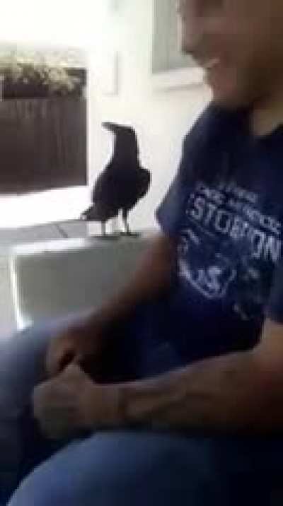 Fuck this guy in particular