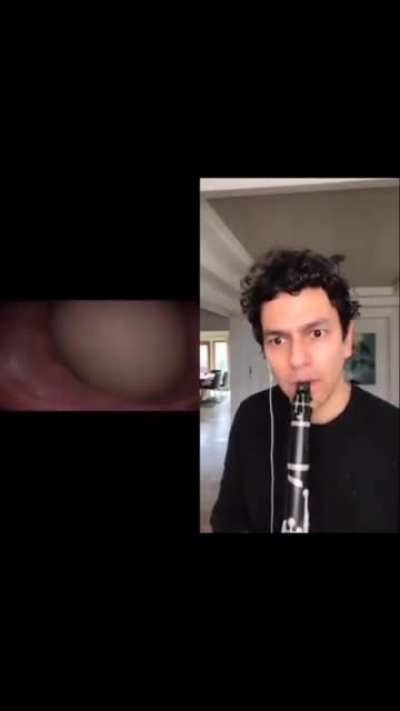 wtf