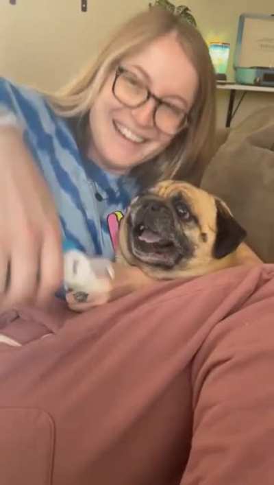 Doggo does not want its nails clipped.