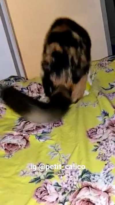 s p o o k e d