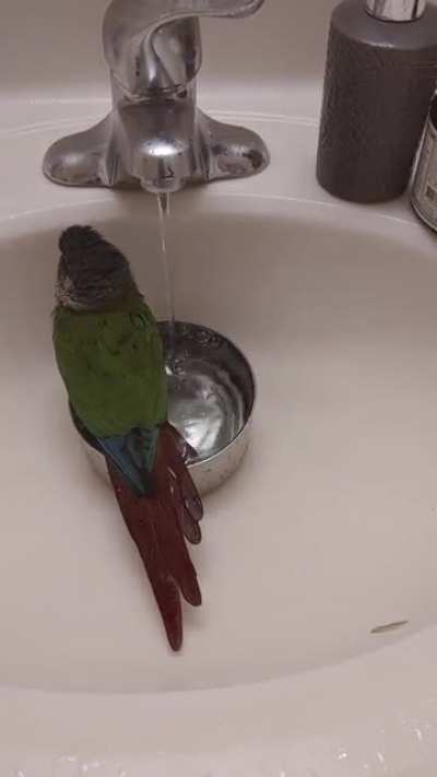 Bath time