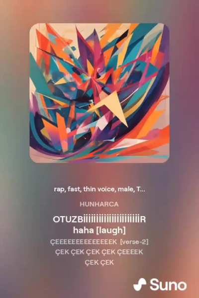 &Ccedil;ek
