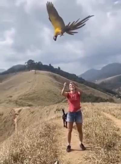 Weeeee!