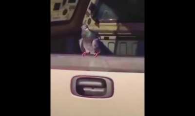 :0