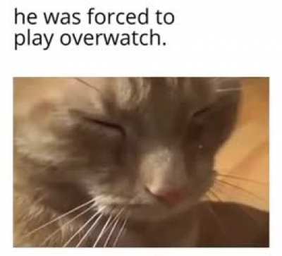 Rule