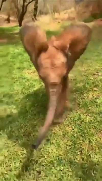 What a sweetheart!