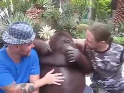 monke