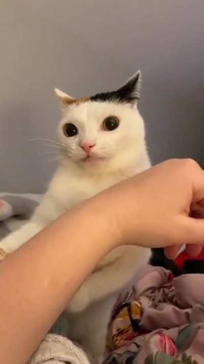To hurt human 