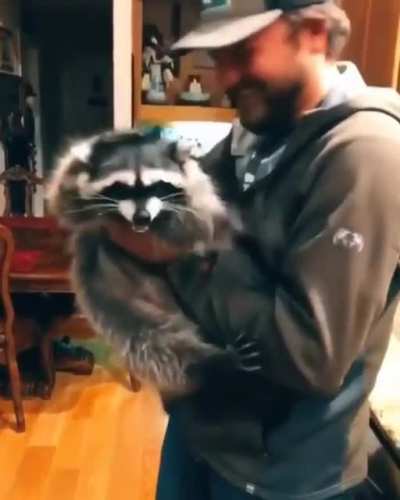 No kisses!