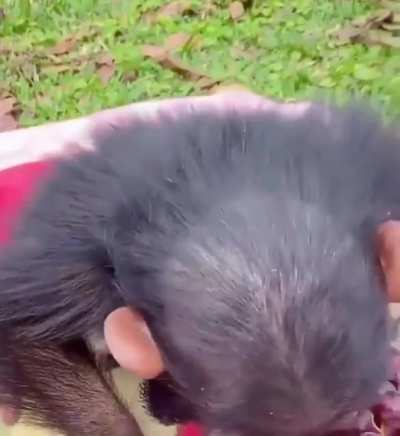Vaza vídeo de muquinha quando criança 😳😱