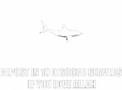 Mashallah brothers