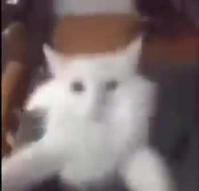 😺