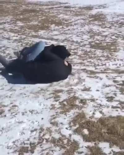 A Good Few Kicks To The Head &amp;amp; Stomach Just To Be Safe.