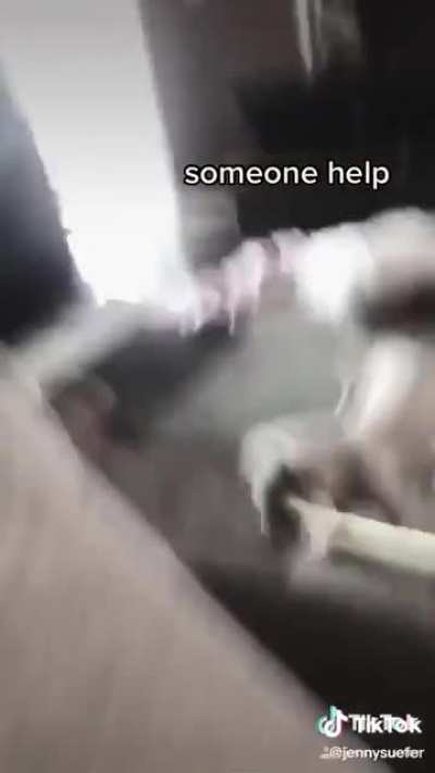 Do you think dogs realize it when they do this