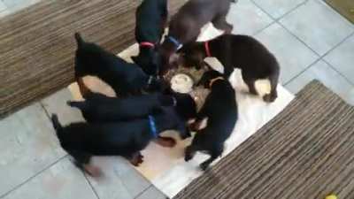 "Let's go! We got food!!!"