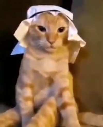 مرحبا كيف حالك انا جيد جدا اتمنى ان تتوقف عن النظر الي اذا كنت لا تريد ان ادخل سكين في رقبتك ايتها العاهرة