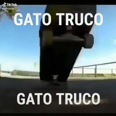 GATO TRUCO 😳👉🏻👈🏻