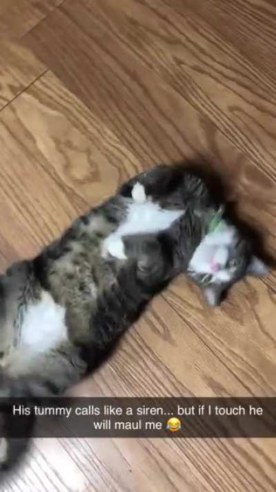 Steven does this anytime he thinks he&rsquo;s not getting enough attention