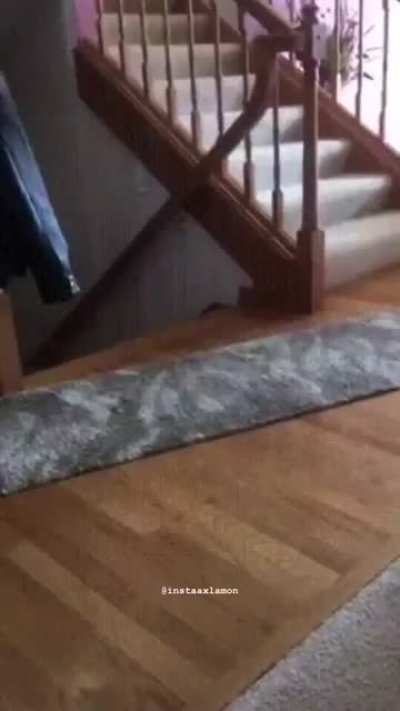 AAAAAAAAAAAAA!