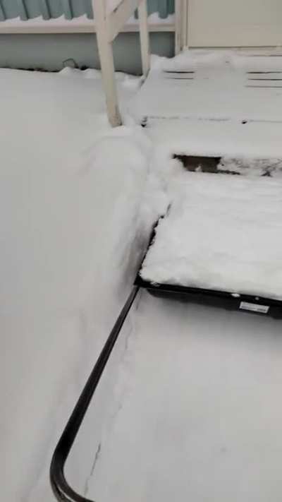 what do you guys think about snowplowing action?
