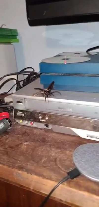 scary stuff