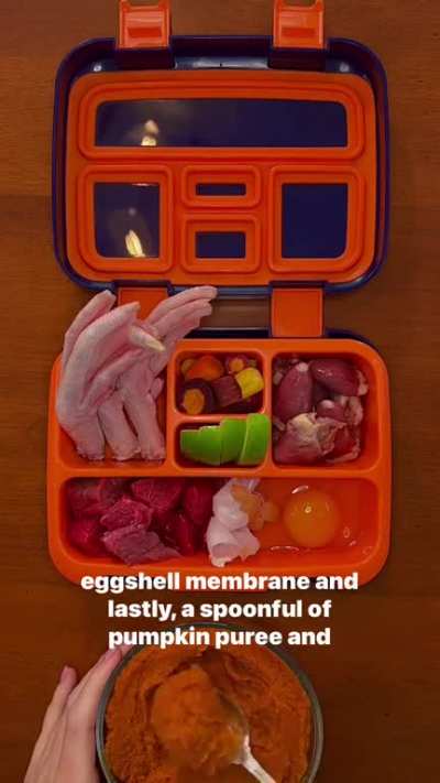 Normal Lunch box in Ohio
