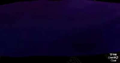 Wario&rsquo;s Fusion