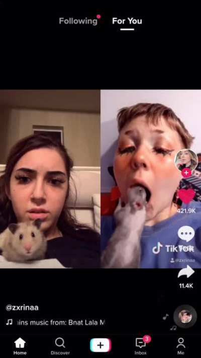 When both you and your hamster die inside