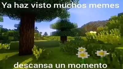 Descansen mis causas.