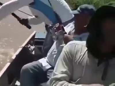 &Eacute; o Jar&eacute;