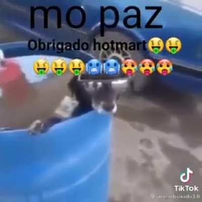 MUQUINHA QUANDO CONSEGUIU DAR CALOTE DO CHURRAS DO CRIA 😎✌️