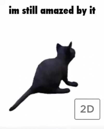 Kitty on discord