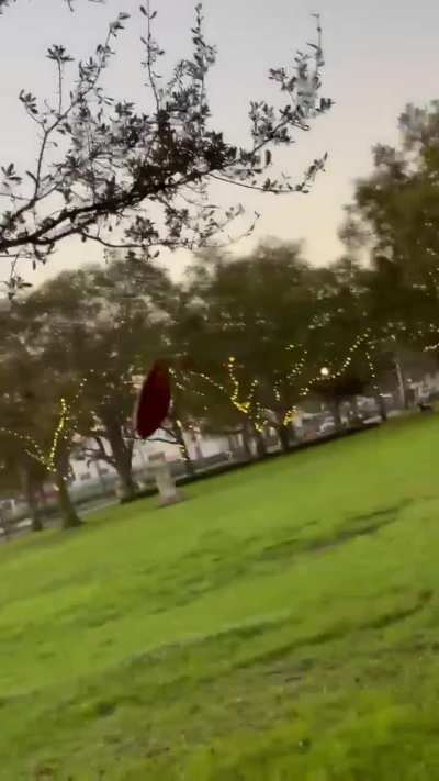 Floating Leaf