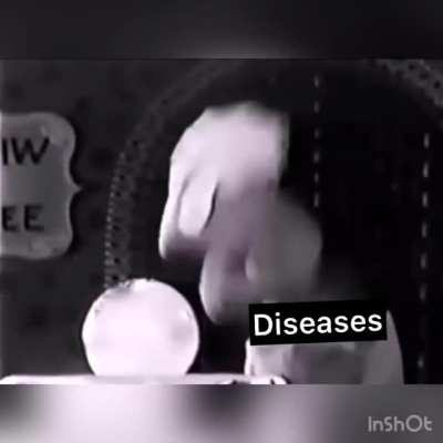 Winnie the Flu