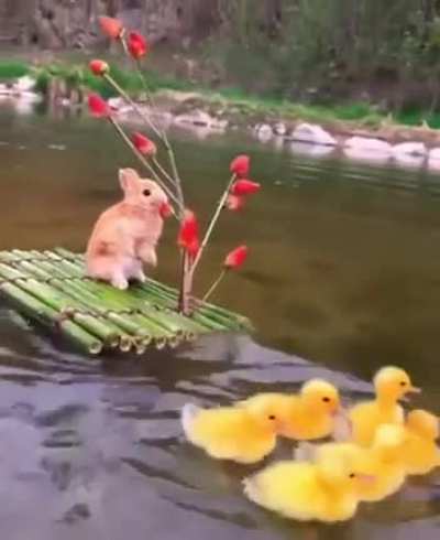 bUnNY cOMmiTs VehiCuLAR MANSLaUGHtEr, 3 dead, 3 in cRItiCaL conDItioN