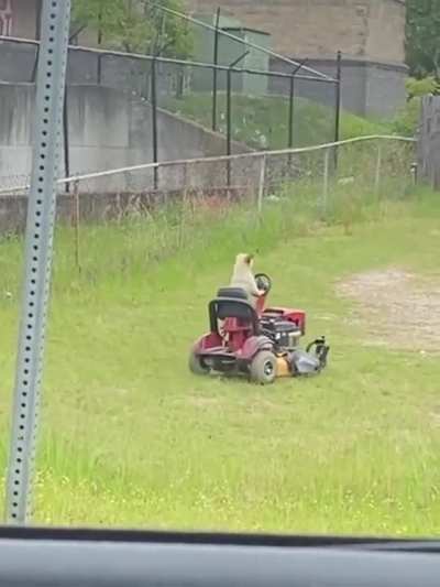 No need to ask "what da dog doin?" He's busy.