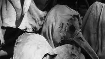 very strange and unnerving video, at a certain part in it you can hear a faint voice, but i can&rsquo;t tell what it says