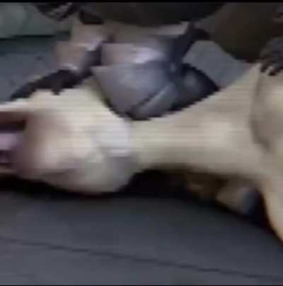 MAAU - Video #3615