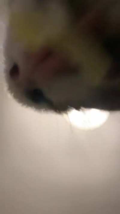 POV: You&rsquo;re the lettuce.