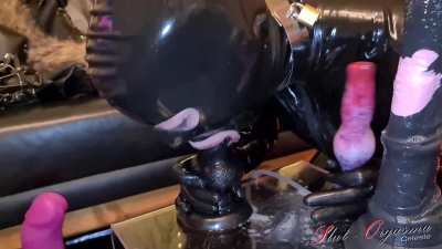 Slut-Orgasma Celeste the deep throat challenge canine vs horse cock (slut-orgasma.com)