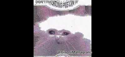 @GianniMatragrano