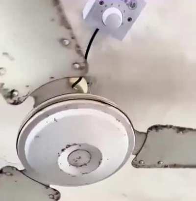 Quem foi o g&ecirc;nio?
