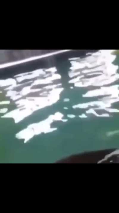 AaaAAAAaaAaaaAaAA