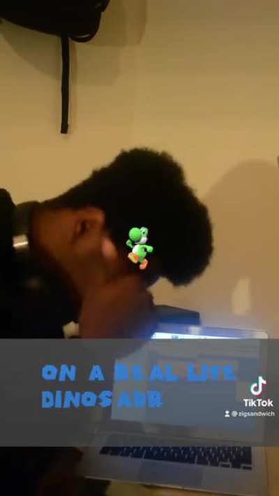 Return of the bro dem