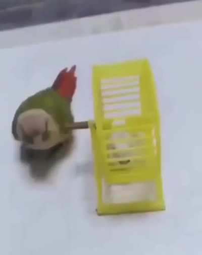 Insert title here